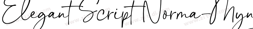 Elegant Script Norma字体转换